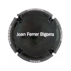 JOAN FERRER BIGORRA--X.113919
