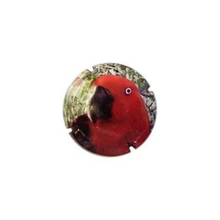 FRIGULS--V.10762--X.25269