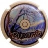 PINARIO--X.84566