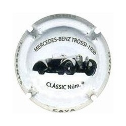 JOAN PIÑOL TORRENTS--X.110092