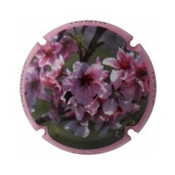 JOAN PIÑOL TORRENTS--X.137062