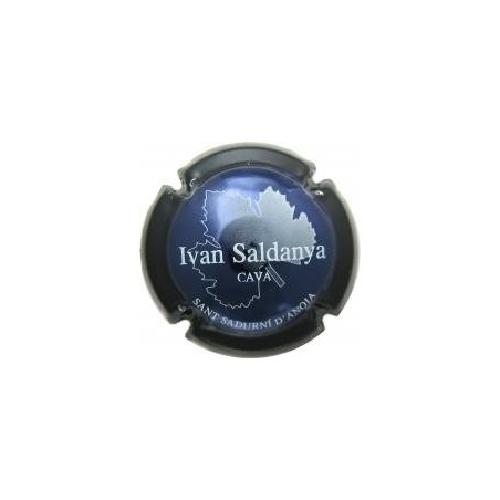 IVAN SALDANYA-V.1614--X.02113