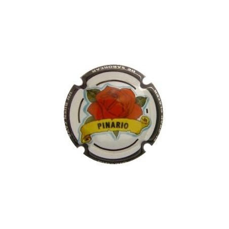 PINARIO---X.75179  COLEC. 3 PL