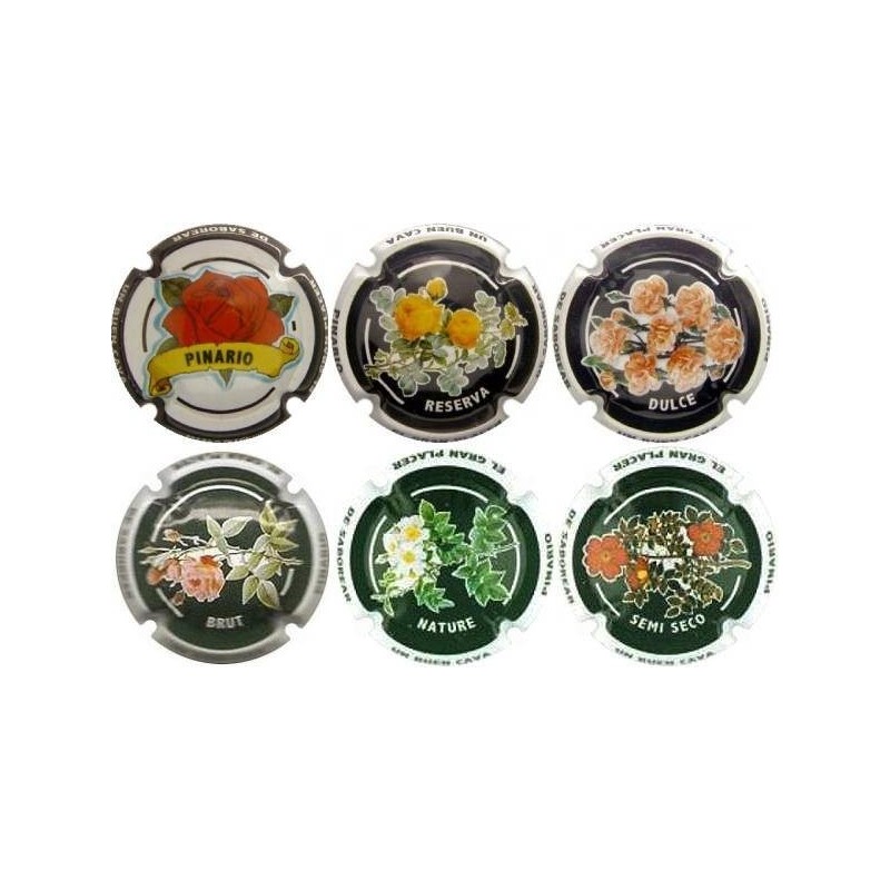 PINARIO--X.75179 (SERIE 6 FLORS)