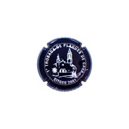 PIRULA 1ra TROBADA SITGES FREIXENET--X.1007170