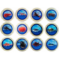 XIC D'ALFONS--X.15001 ( SERIE 12 MARINERA)