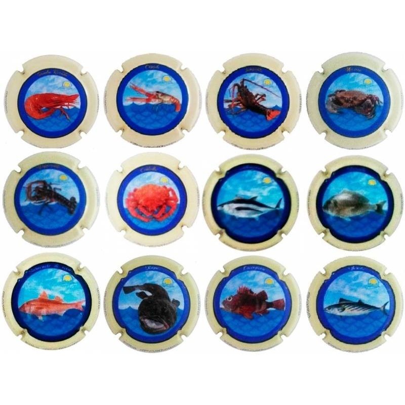 XIC D'ALFONS--X.15001 ( SERIE 12 MARINERA)