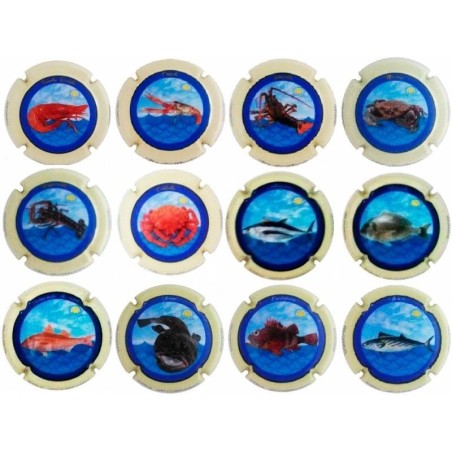 XIC D'ALFONS--X.15001 ( SERIE 12 MARINERA)