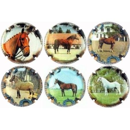 RAVENTOS MONTSERRAT---X.81366