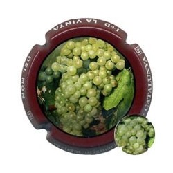 SUMARROCA--X..06008--V.5984