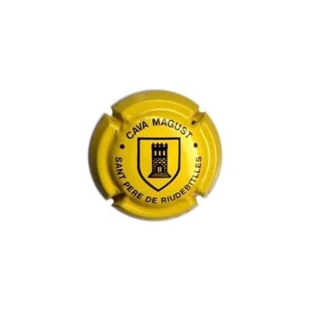 MAGUST-V.9996--X.31078