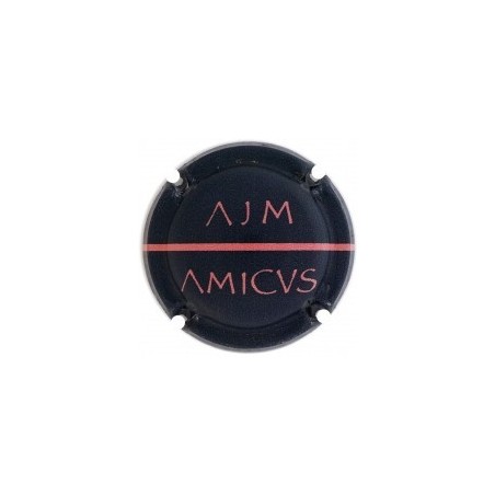 AJM AMICVS---X.229052 (Autonòmica)