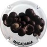 ARGENTIUM--V.29559--X.118626 (MACADAMIA)