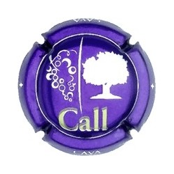 COOP. LLORENÇ DEL PENEDES--V.4272--X.3225 (LLAUNA)