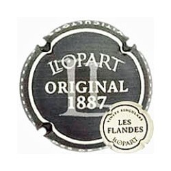 LLOPART----X.252992