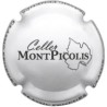 MONT PICOLIS---X.154550