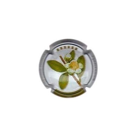 BONRAMELL---X.75969-(TÉ)