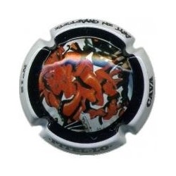 PITEL.LO--V.20643--X.71081