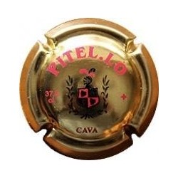 PITEUS-V.6463--X.09044