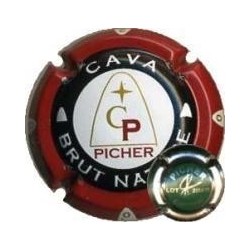 PICHER--X.26458 (LOT 2004/15 VERD)