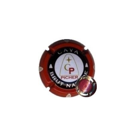 PICHER-V.1654--X.03357 (LOT 001 COLOR ROSA)