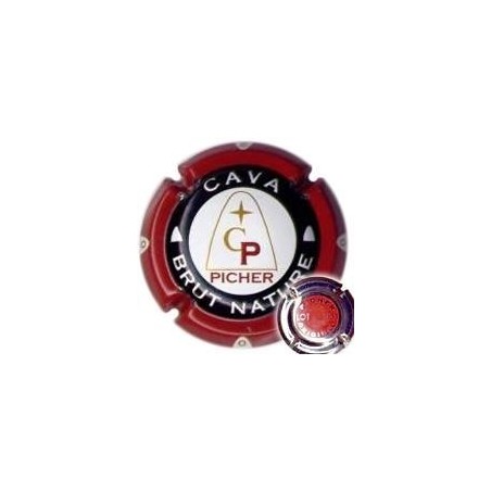 PICHER---X.17829 (CARBASSA LOT 031)