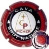 PICHER---X.17829 (CARBASSA LOT 031)