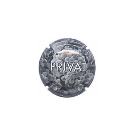 PRIVAT-V.2434--X.00322