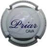 PRIAR-V.16906--X.72215
