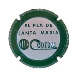 COOPERATIVA PLA DE STA. MARIA-V.6184-X.13456