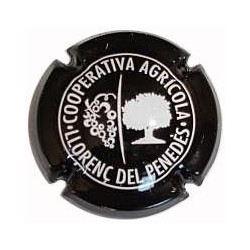 COOPERATIVA LLORENÇ DEL PENEDÉS-V.2939-X.00735