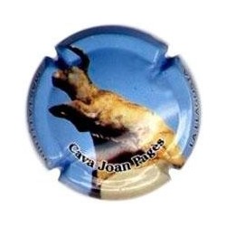 JOAN PAGES--V.12828--X.37595