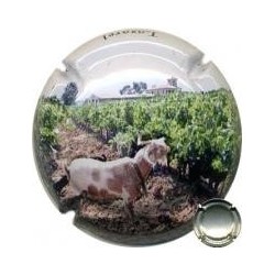 LOXAREL--X.76149 SENSE TEXT