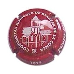 COOP. AGRICOLA BARBERA CONCA-V.4839-X.02377