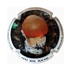 ROGER BERTRAND--V.20693--X.71779