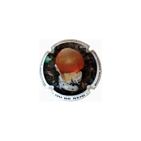 ROGER BERTRAND--V.20693--X.71779