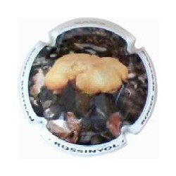 ROGER BERTRAND--V.20695--X.71784