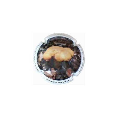 ROGER BERTRAND--V.20695--X.71784