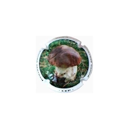 ROGER BERTRAND--V.20698--X.71785