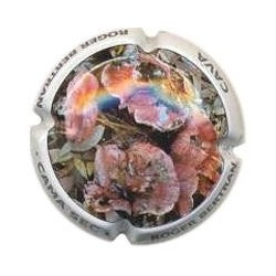 ROGER BERTRAND--V.22206--X.72661