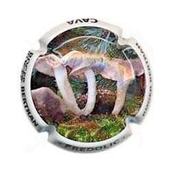 ROGER BERTRAND--V.22214--X.72663