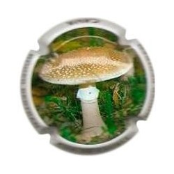 ROGER BERTRAND--V.22217--X.74003