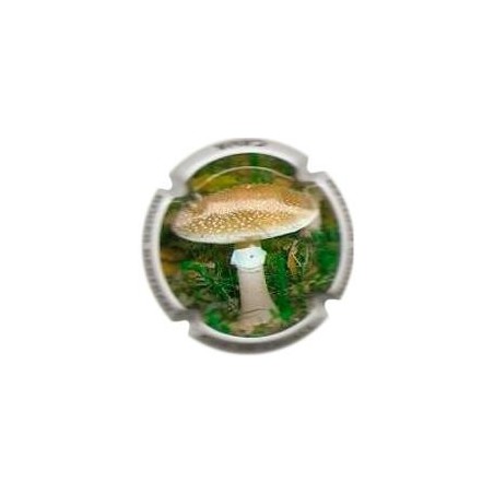 ROGER BERTRAND--V.22217--X.74003