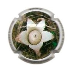 ROGER BERTRAND--V.22219--X.74004