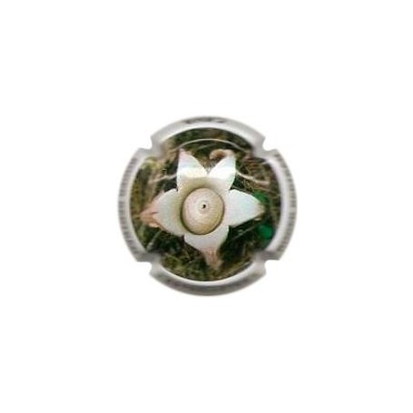 ROGER BERTRAND--V.22219--X.74004