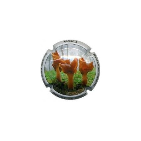 ROGER BERTRAND--V.22213--X.77932