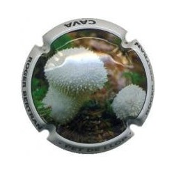 ROGER BERTRAND--V.22221--X.77934