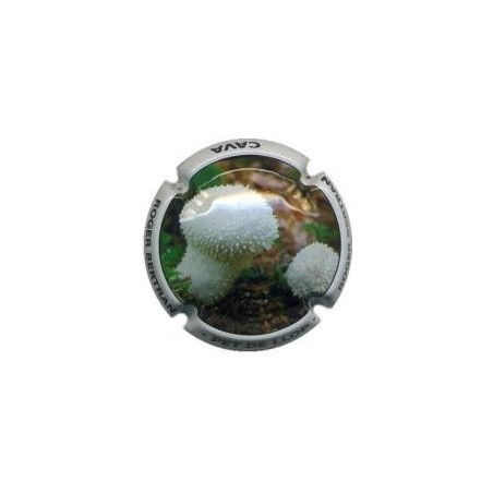 ROGER BERTRAND--V.22221--X.77934