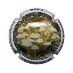 ROGER BERTRAND--V.22220--X.77935