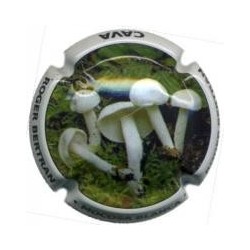 ROGER BERTRAND--V.22222--X.77936